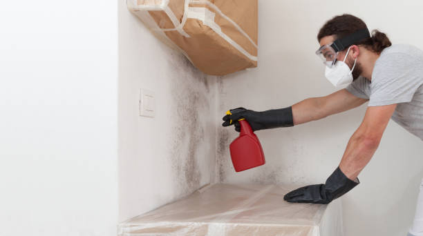 Professional Mold Testing technician working in Nashville, MI