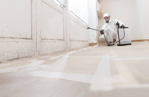 24/7 Emergency Mold Testing experts in Nashville, MI